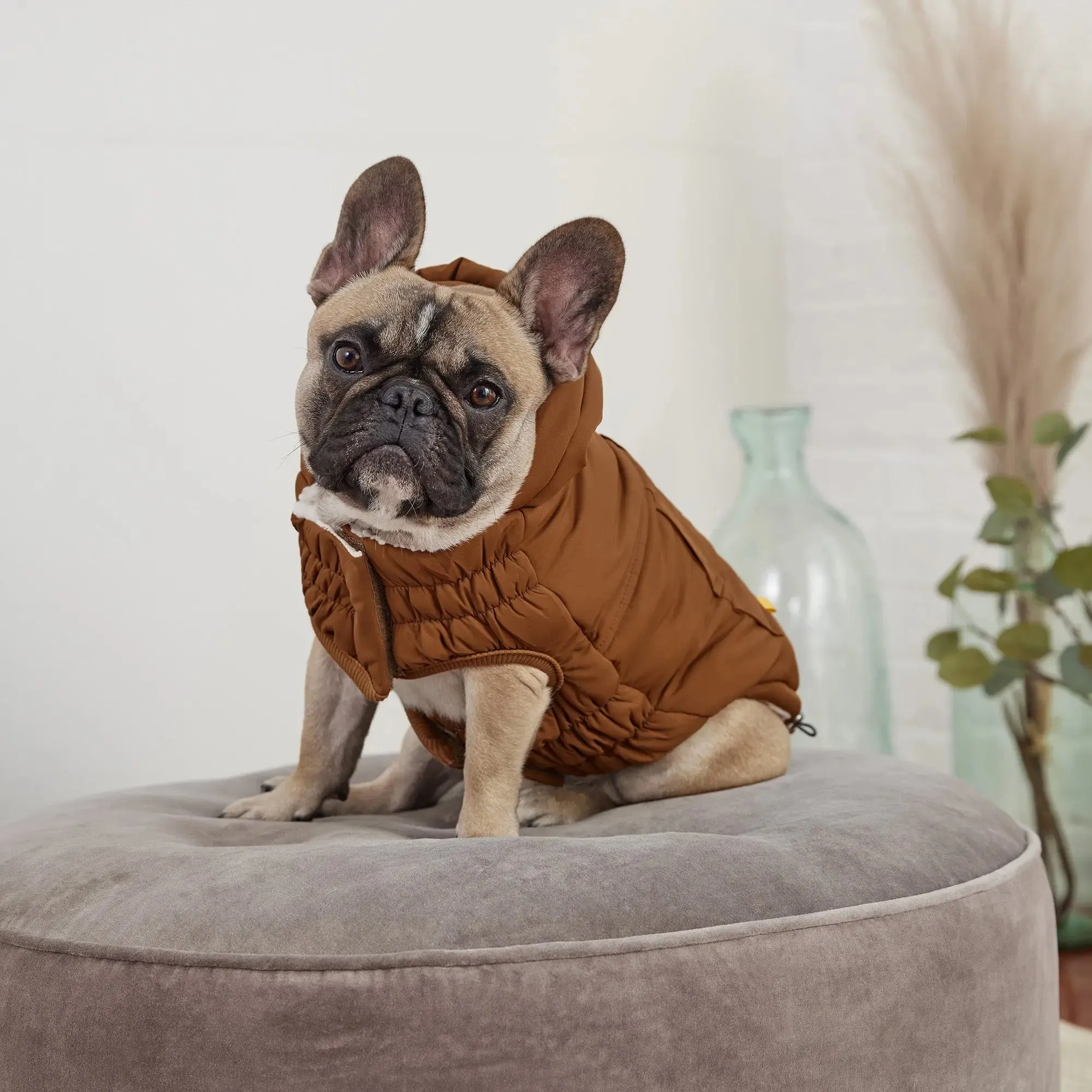 Arctic Dog Parka | Wood