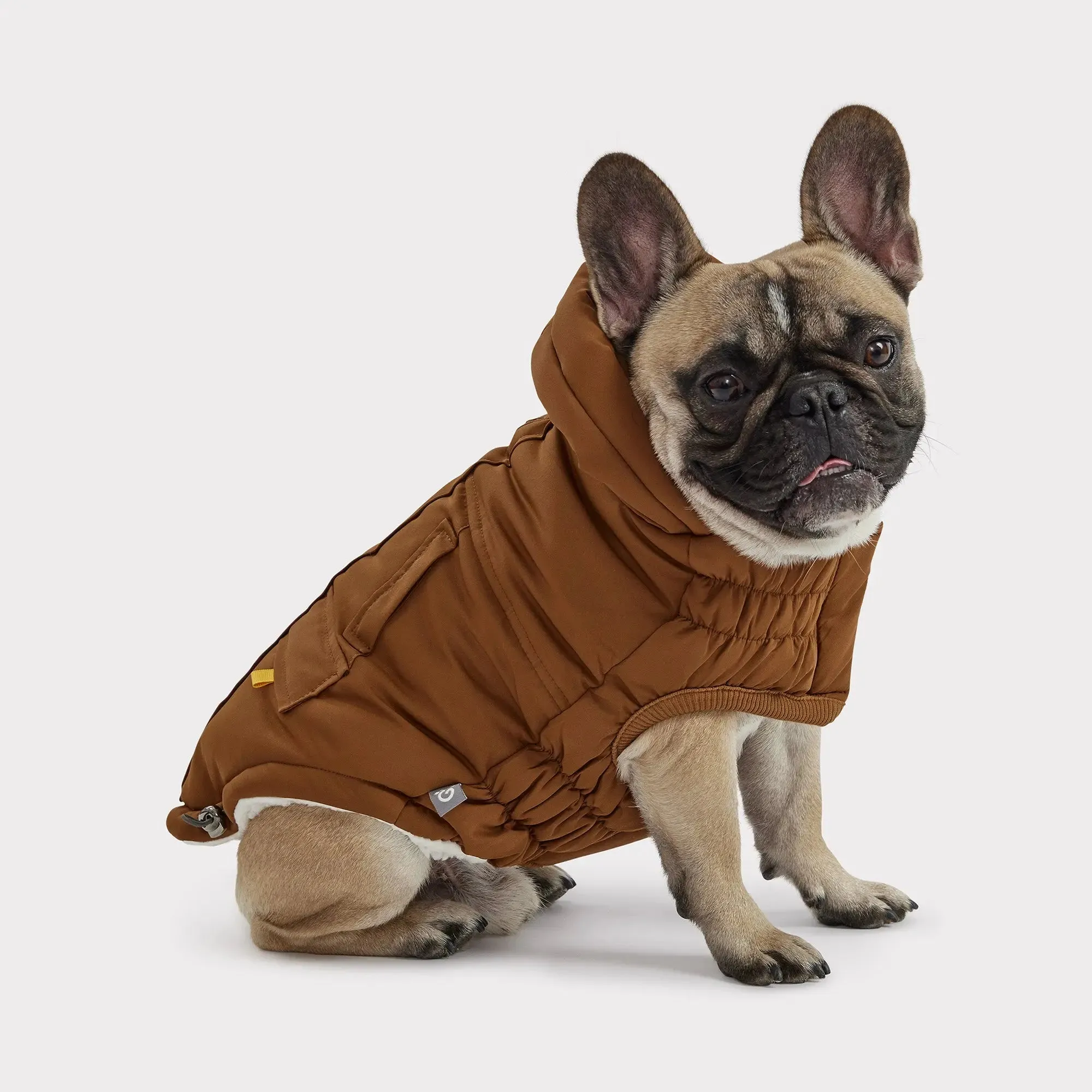 Arctic Dog Parka | Wood