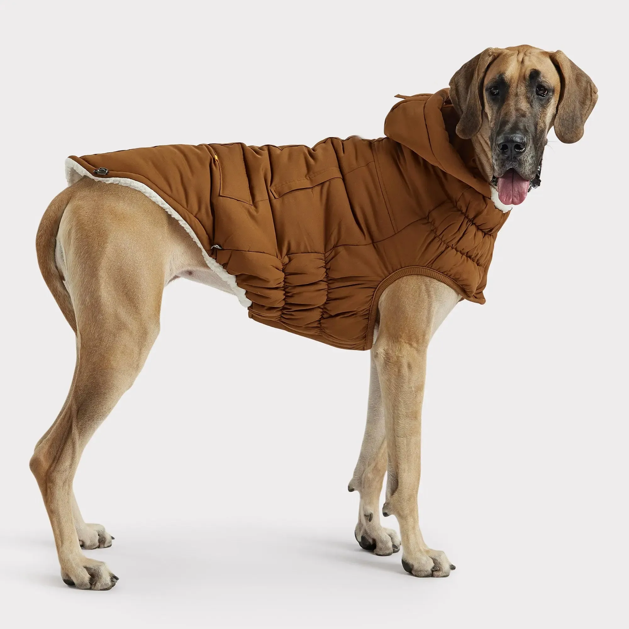 Arctic Dog Parka | Wood